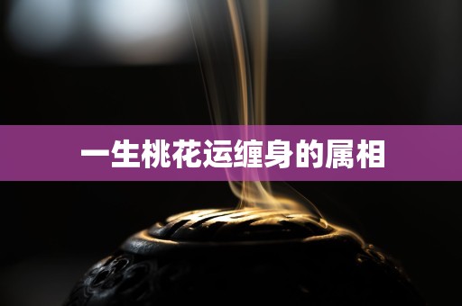 一生桃花运缠身的属相