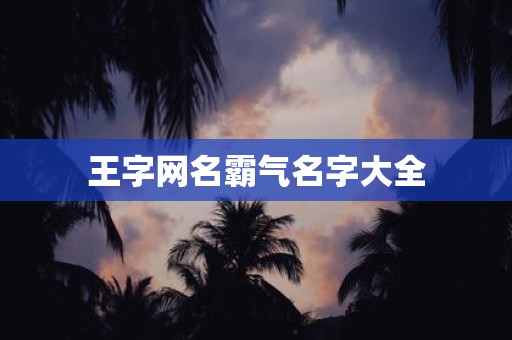 王字网名霸气名字大全