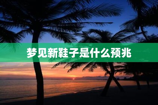 梦见新鞋子是什么预兆