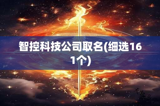 智控科技公司取名(细选161个)