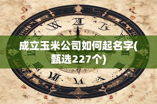成立玉米公司如何起名字(甄选227个)
