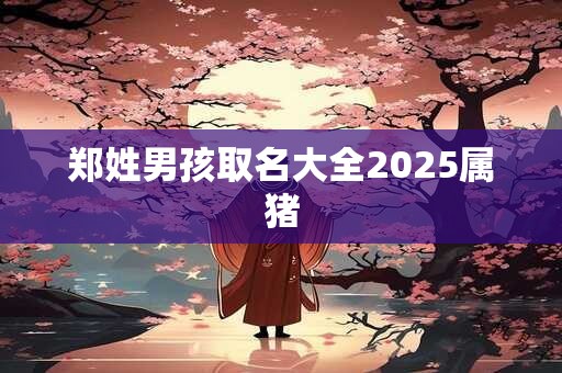郑姓男孩取名大全2025属猪