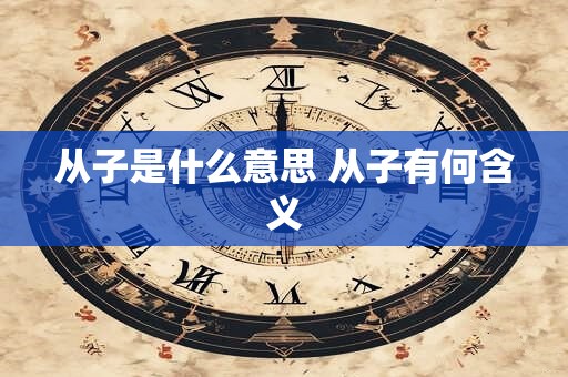 从子是什么意思 从子有何含义