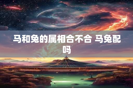 马和兔的属相合不合 马兔配吗