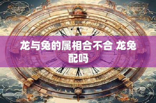 龙与兔的属相合不合 龙兔配吗