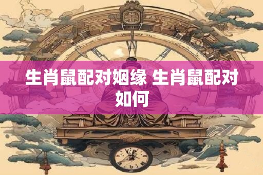 生肖鼠配对姻缘 生肖鼠配对如何