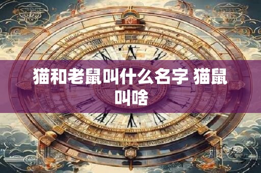 猫和老鼠叫什么名字 猫鼠叫啥