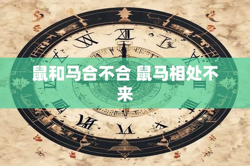 鼠和马合不合 鼠马相处不来