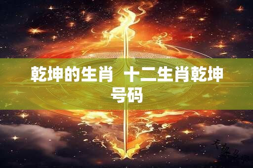 乾坤的生肖  十二生肖乾坤号码