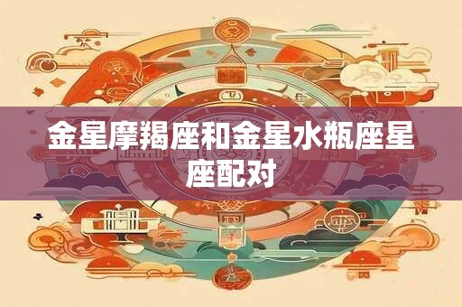 金星摩羯座和金星水瓶座星座配对