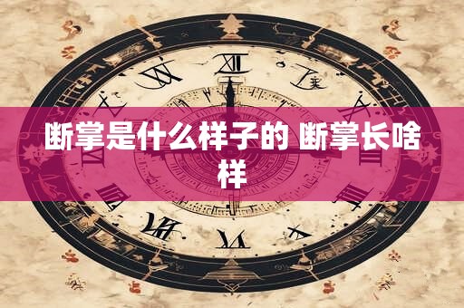 断掌是什么样子的 断掌长啥样
