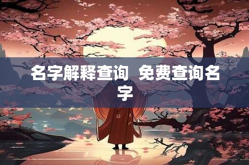 名字解释查询  免费查询名字