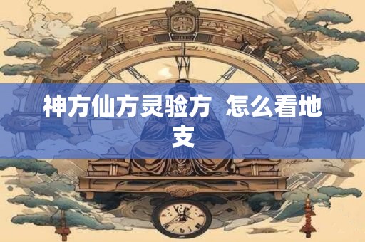 神方仙方灵验方  怎么看地支