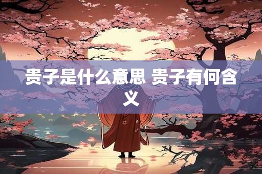 贵子是什么意思 贵子有何含义