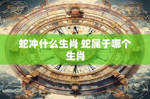蛇冲什么生肖 蛇属于哪个生肖