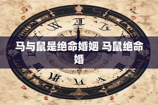 马与鼠是绝命婚姻 马鼠绝命婚