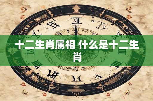 十二生肖属相 什么是十二生肖