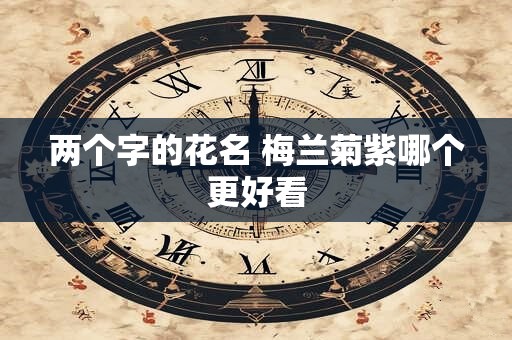 两个字的花名 梅兰菊紫哪个更好看