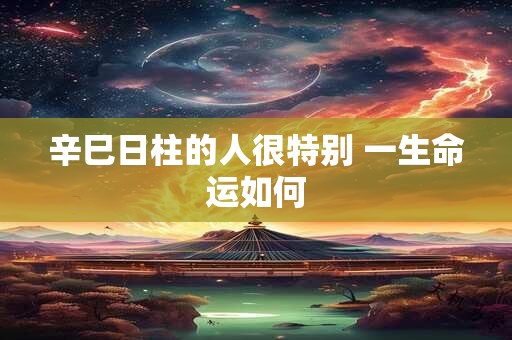 辛巳日柱的人很特别 一生命运如何